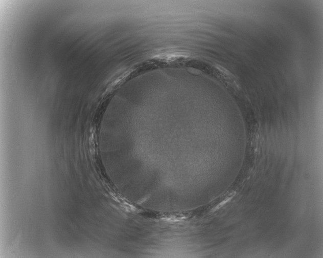 X0000062151014200512161228