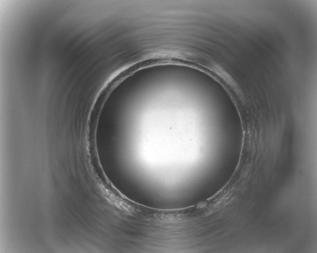 X0000062151020200512161228