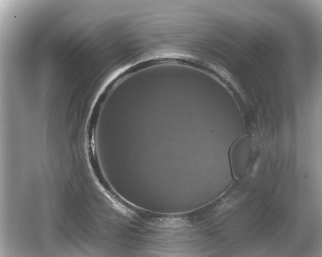 X0000062151024200512161229