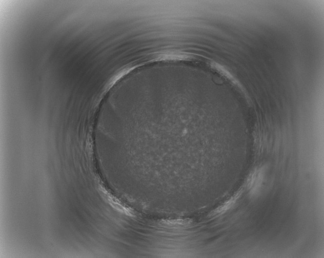 X0000062151025200512161229