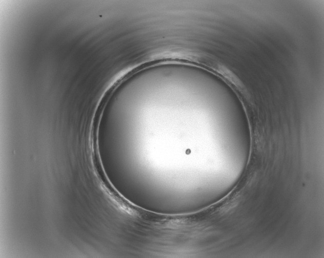 X0000062151028200512161229