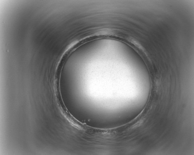 X0000062151029200512161229