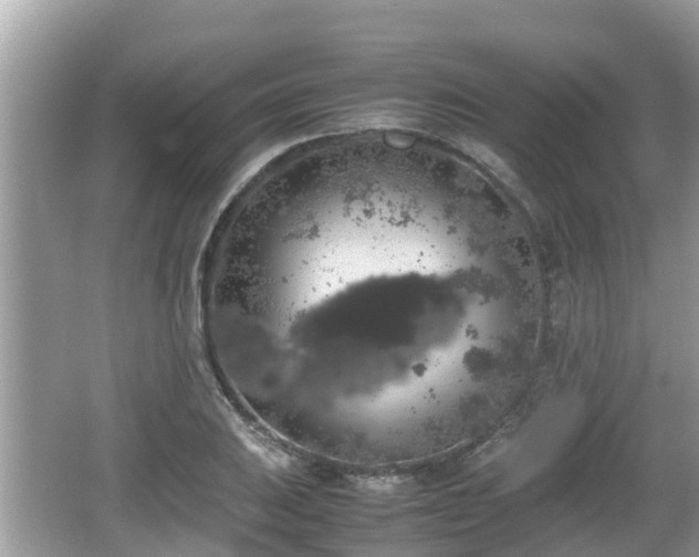 X0000062151031200512161229