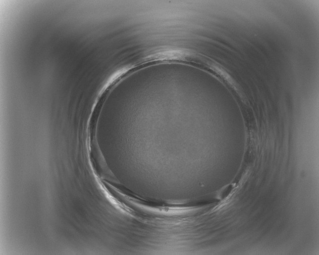 X0000062151034200512161229