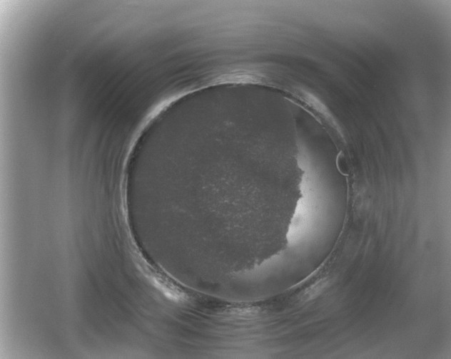 X0000062151035200512161229