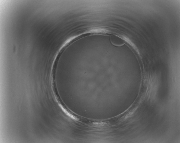 X0000062151037200512161229