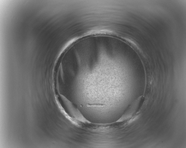 X0000062151038200512161229