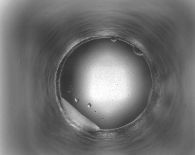 X0000062151039200512161229