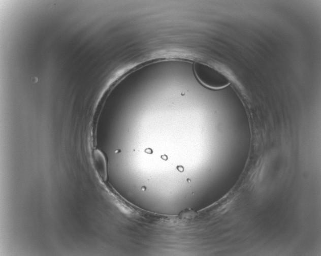 X0000062151040200512161229