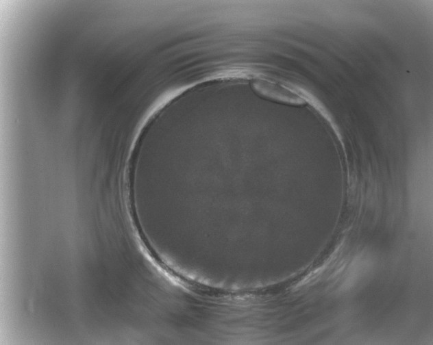 X0000062151045200512161229