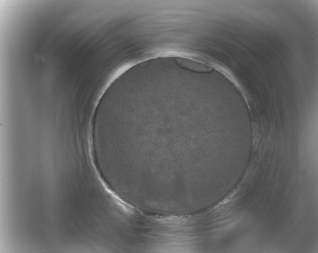 X0000062151048200512161229