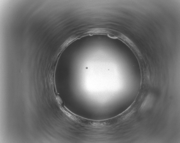 X0000062151049200512161229