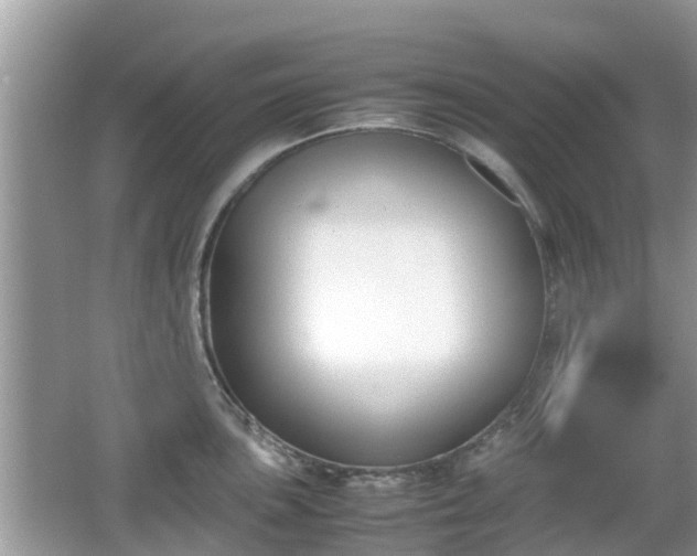 X0000062151051200512161229