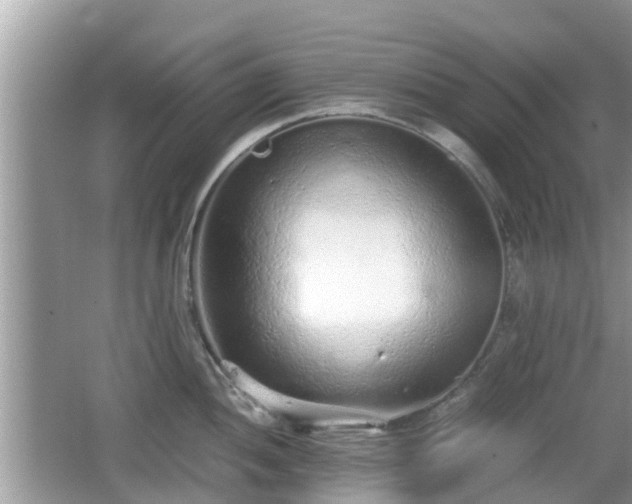 X0000062151052200512161229