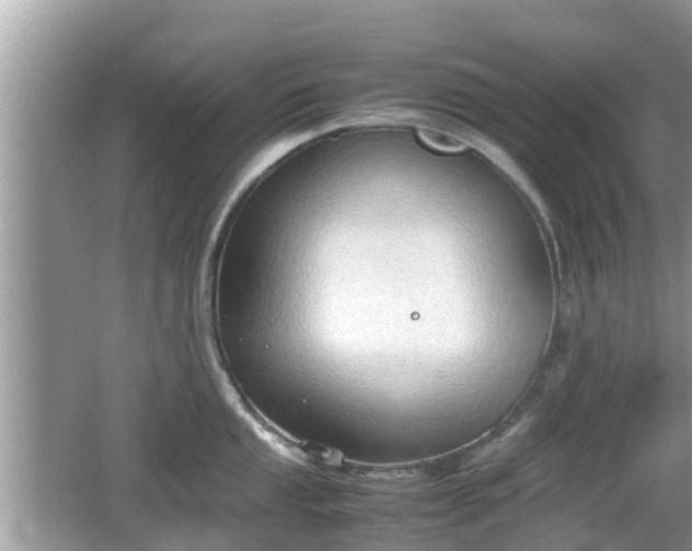 X0000062151053200512161229