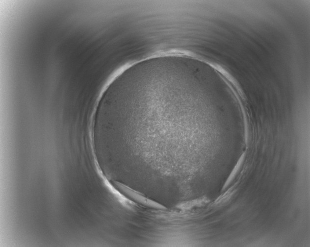 X0000062151054200512161229