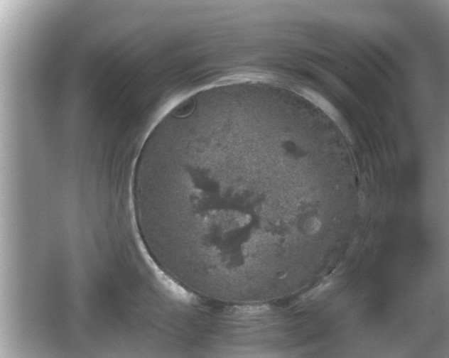 X0000062151055200512161229