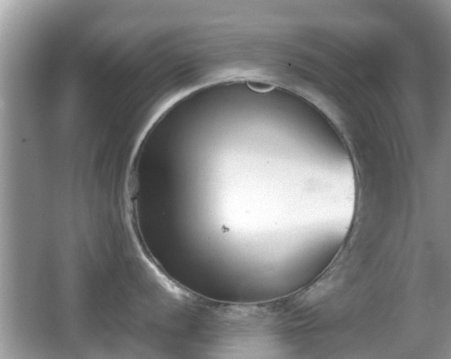 X0000062151056200512161229