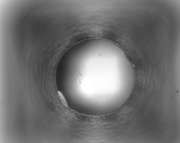 X0000062151057200512161228