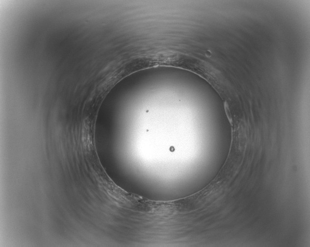 X0000062151058200512161228