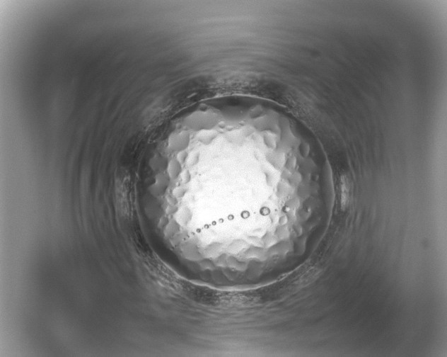 X0000062151059200512161228