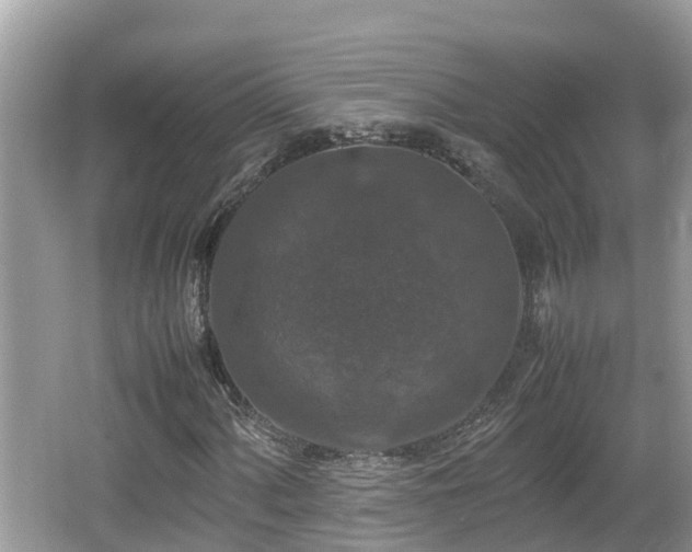 X0000062151060200512161228