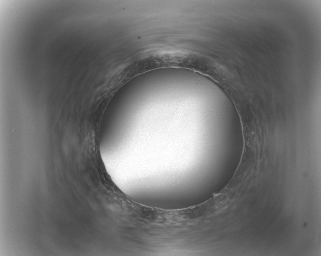 X0000062151061200512161228