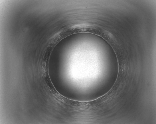 X0000062151062200512161228