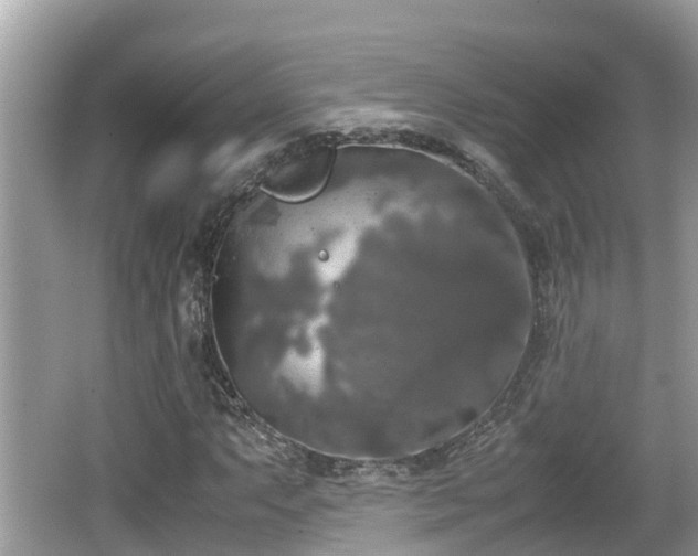 X0000062151063200512161228