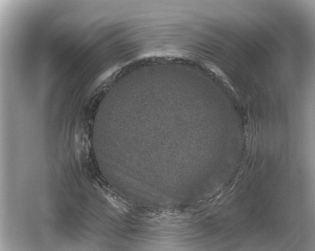 X0000062151064200512161228