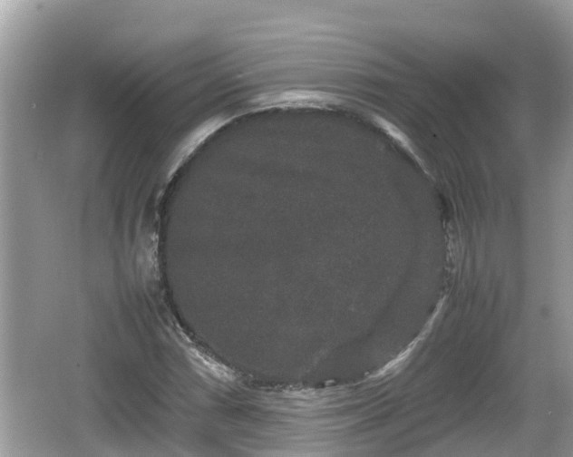 X0000062151066200512161228