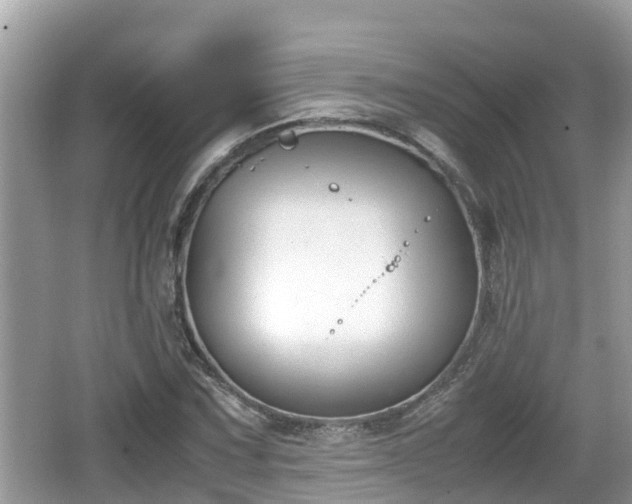 X0000062151067200512161228