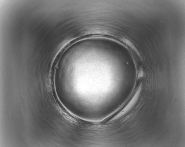 X0000062151068200512161228