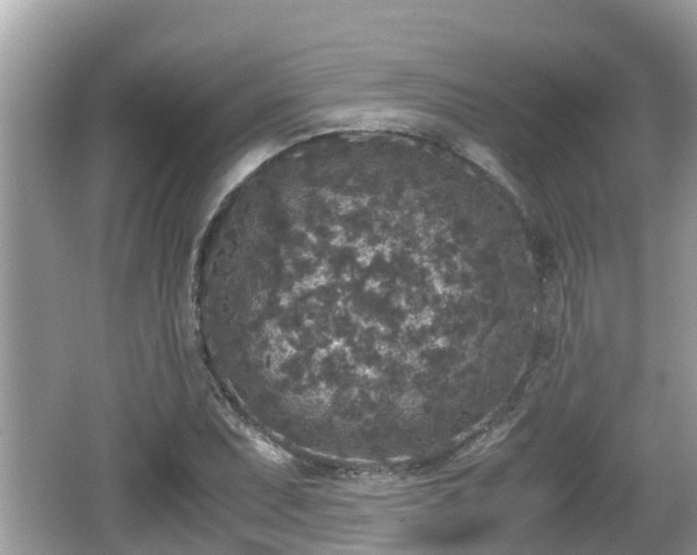 X0000062151071200512161228