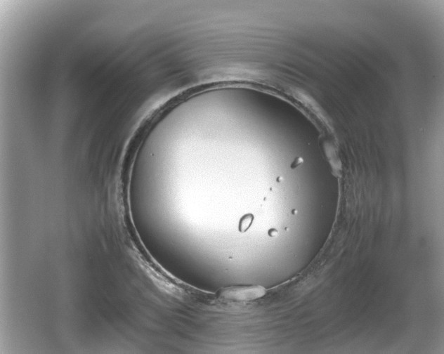 X0000062151072200512161228