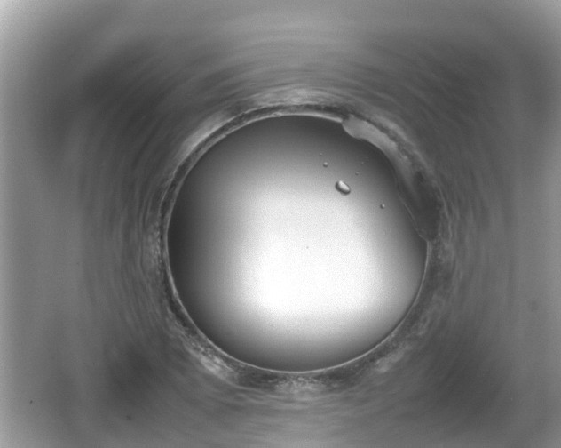 X0000062151073200512161228