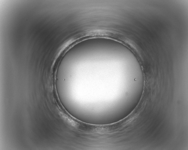 X0000062151075200512161228