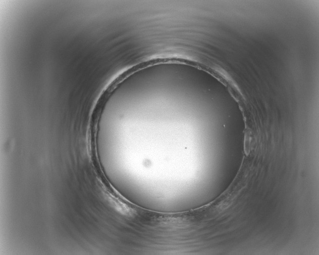 X0000062151076200512161228