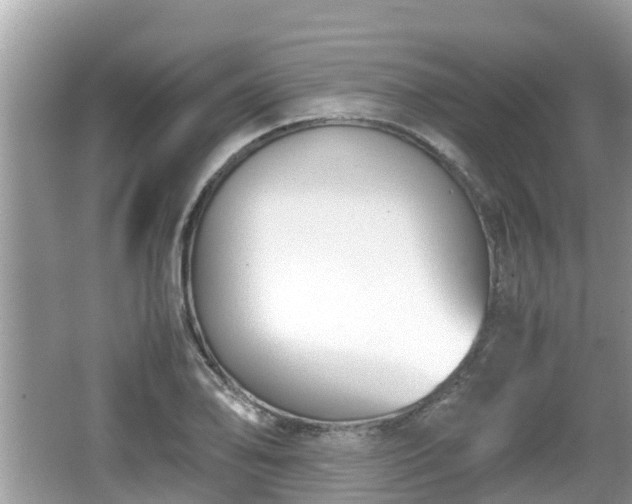 X0000062151078200512161228