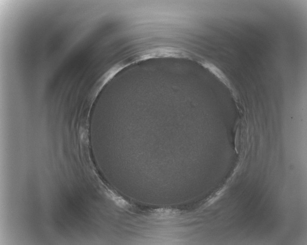 X0000062151081200512161228