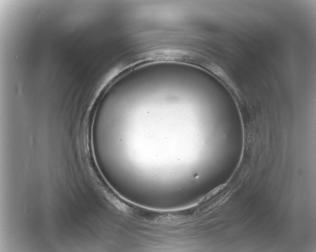 X0000062151083200512161228