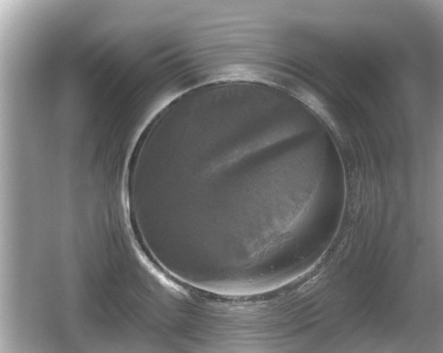 X0000062151084200512161228