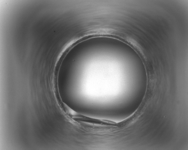 X0000062151085200512161228