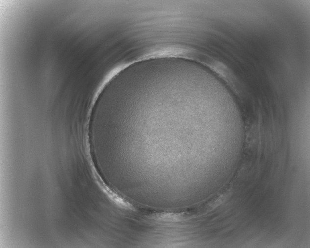 X0000062151086200512161228