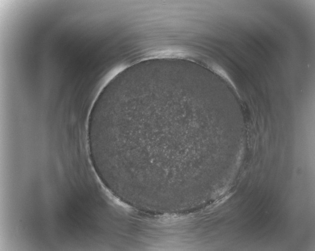 X0000062151087200512161228