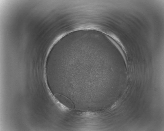 X0000062151088200512161228