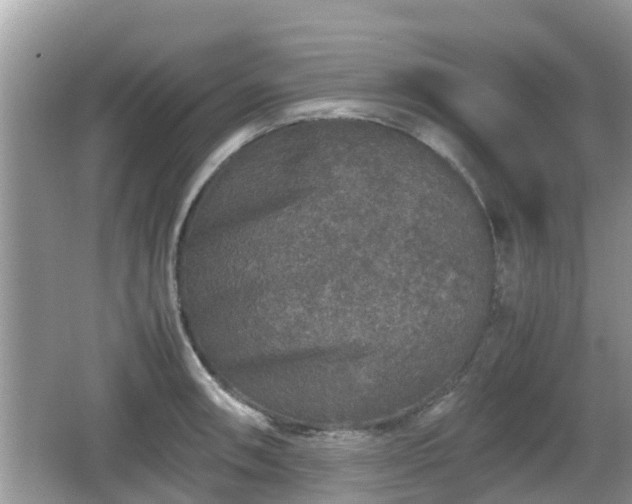 X0000062151090200512161228