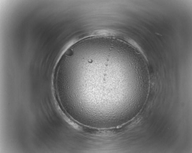 X0000062151091200512161228