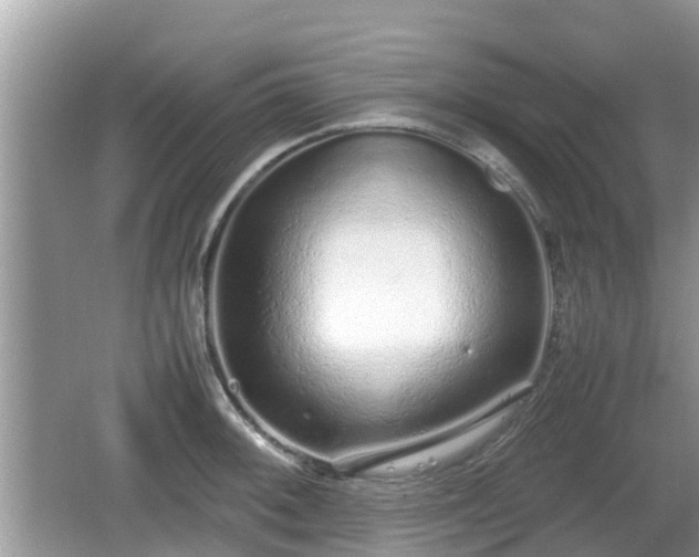 X0000062151092200512161228