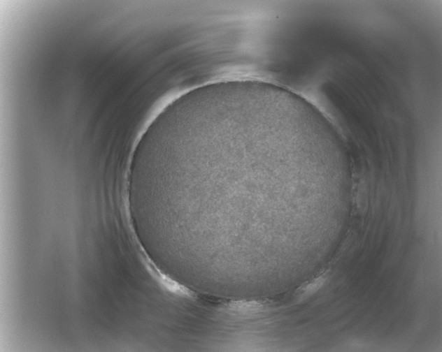 X0000062151094200512161228